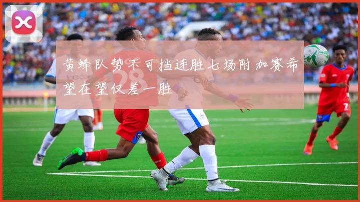 黄蜂队势不可挡连胜七场附加赛希望在望仅差一胜